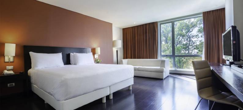 NH普埃布拉中心历史酒店(NH Puebla Centro Historico)图片