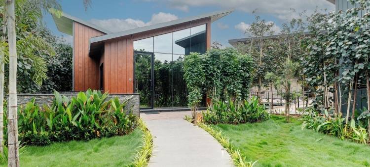 福雷斯特(Forrest)图片