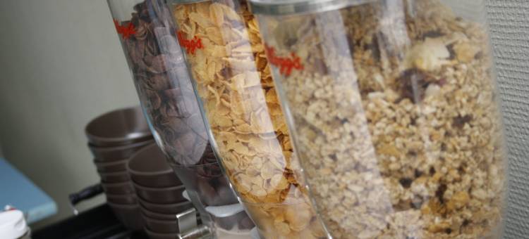 开花的卡斯特尔酒店(Castel Fleuri)图片