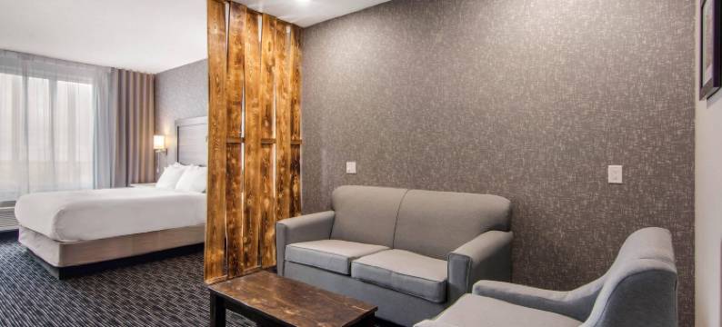 舒适套房酒店(Comfort Inn & Suites)图片