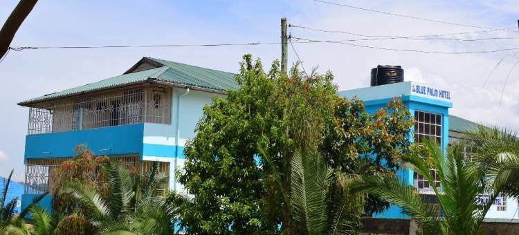 凯里乔蓝色棕榈酒店(Blue Palm Hotel)图片