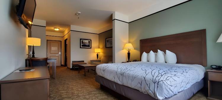 艾莫里福克湖贝斯特韦斯特优质套房酒店(Best Western Plus Emory at Lake Fork Inn  Suites)图片