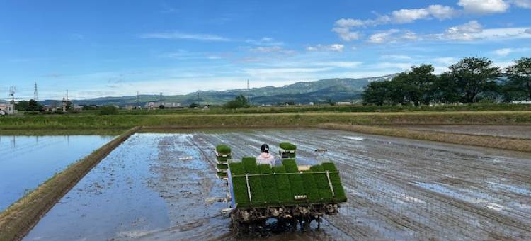Kaminomiya Onsen Kawaratei图片