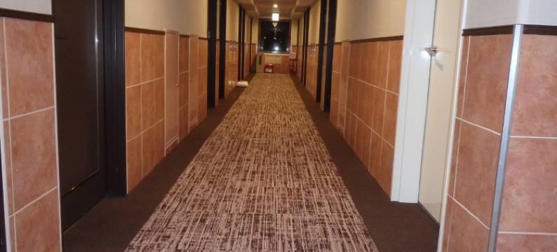 入间第一酒店(Iruma Dai-Ich Hotel)图片