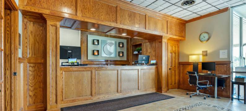 舒适套房酒店(Comfort Inn & Suites)图片