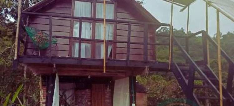 Eco Cabaña en El Campo图片