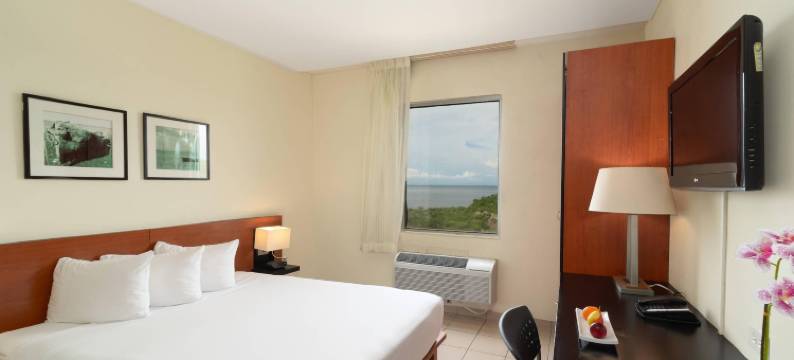 利尔拉乌尼翁舒适酒店(Comfort Inn Real la Union)图片