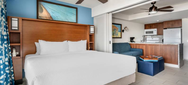 圣马丁火烈鸟海滩希尔顿分时度假俱乐部(Hilton Vacation Club Flamingo Beach St. Maarten)图片