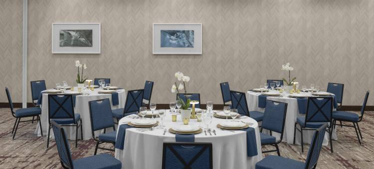 希尔顿花园酒店-圣马科斯(Hilton Garden Inn San Marcos)图片