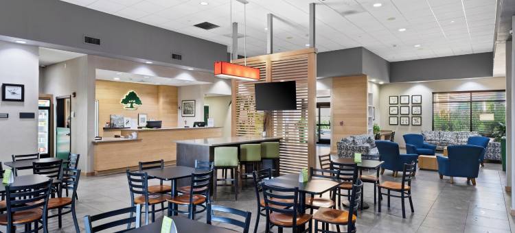 格林豪泰酒店-凤凰城天空港(GreenTree Inn & Suites Phoenix Sky Harbor)图片