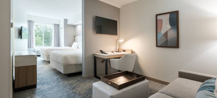 夏洛特诺曼湖/莫尔斯威尔 SpringHill Suites 酒店(SpringHill Suites Charlotte Lake Norman/Mooresville)图片