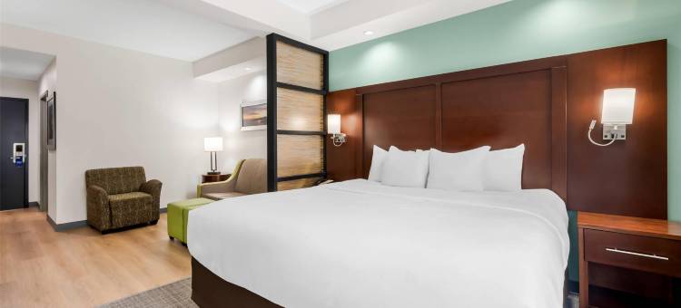 新伯尔尼和樱桃角舒适套房酒店(Comfort Suites New Bern Near Cherry Point)图片