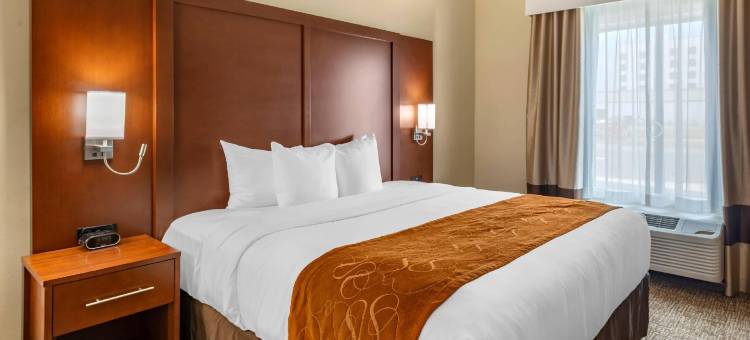 米德兰西舒适套房酒店(Comfort Suites Midland West)图片