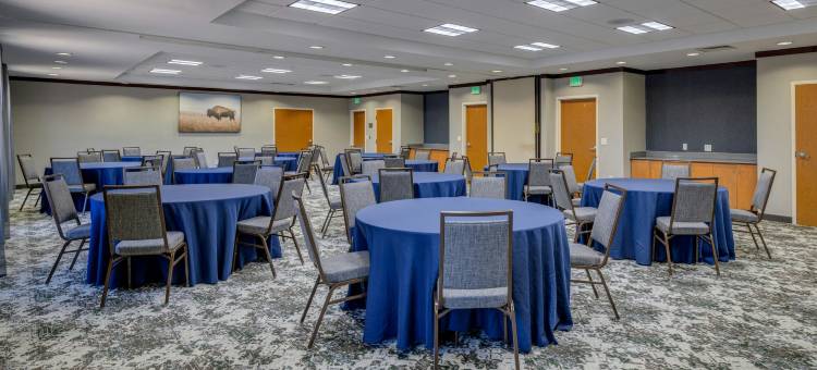 劳顿万枫酒店及套房(Fairfield Inn & Suites Lawton)图片