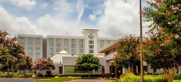 切萨皮克诺福克德尔塔酒店(Delta Hotels Chesapeake Norfolk)图片