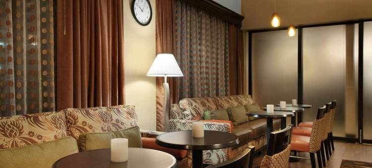 希尔顿欢朋酒店-休斯顿布鲁克霍洛(Hampton Inn Houston-Brookhollow)图片