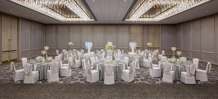 格林威广场休斯顿希尔顿逸林酒店(DoubleTree by Hilton Hotel Houston - Greenway Plaza)图片