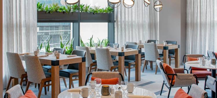 奥斯汀大学国会区希尔顿花园酒店(Hilton Garden Inn Austin University Capitol District)图片