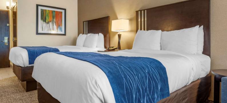 巴特勒舒适套房酒店(Comfort Inn & Suites Butler)图片