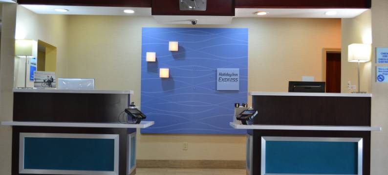 智选假日套房酒店盖恩斯维尔(Holiday Inn Express & Suites GAINESVILLE by IHG)图片