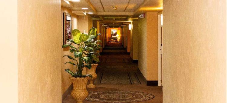 舒适酒店及套房-麦迪逊东-莫诺纳(Comfort Inn & Suites Madison East - Monona)图片