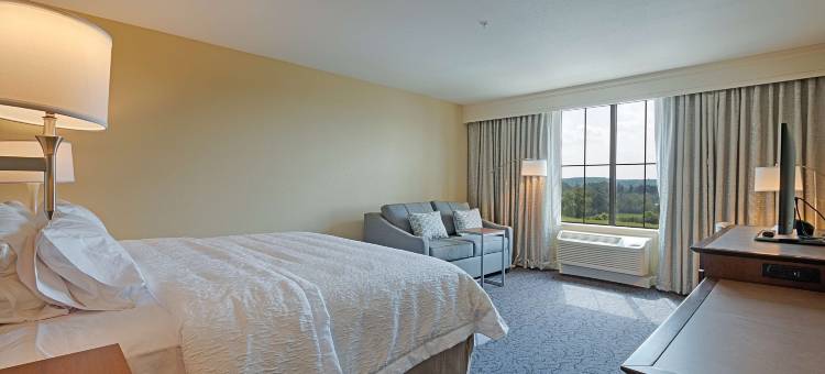 纽约卡泽诺维欢朋酒店(Hampton Inn & Suites Cazenovia)图片