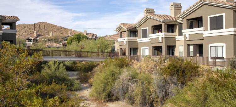 凤凰城南山自然保护区雨树酒店(WorldMark Phoenix - South Mountain Preserve)图片