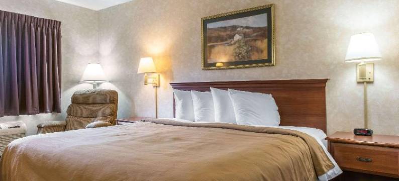 凯艺套房酒店(Quality Inn & Suites)图片