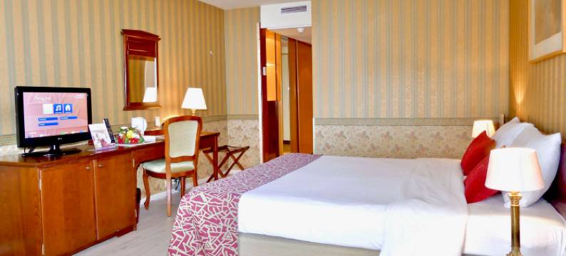 德美第奇金色郁金香酒店(Golden Tulip Hotel de Medici)图片