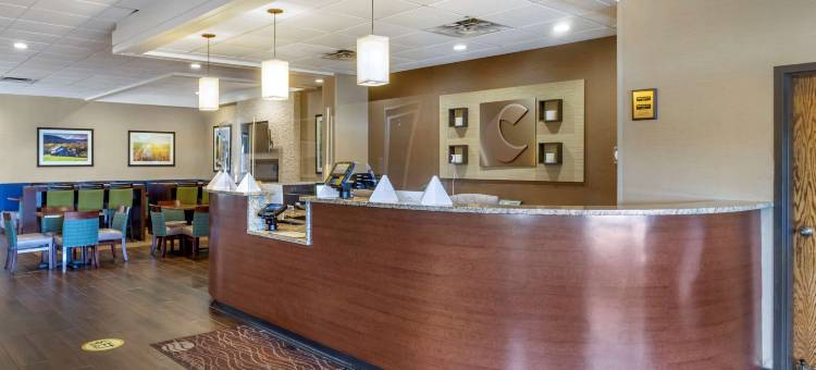 舒适套房酒店-近丹维尔购物中心(Comfort Inn & Suites Near Danville Mall)图片