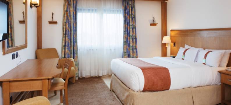 雄鹰旗下棕榈机场城酒店(原假日酒店)(Palms by Eagles Airport City, Formerly Holiday Inn)图片