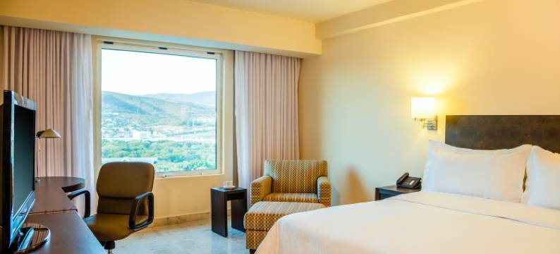 图斯特拉-古铁雷斯嘉年华酒店(Fiesta Inn Tuxtla Gutierrez)图片