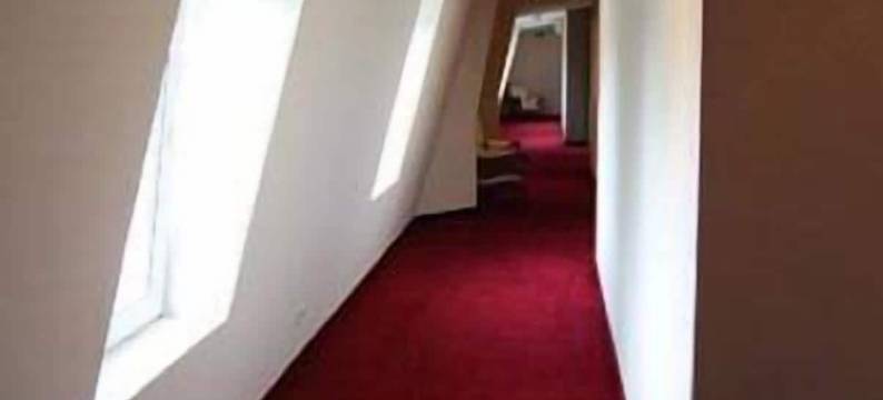 加尔普达尔浪漫公园酒店(Romantik Parkhotel Het Gulpdal)图片