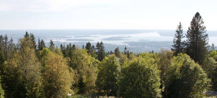 Voksenasen Hotell, BW Signature Collection图片