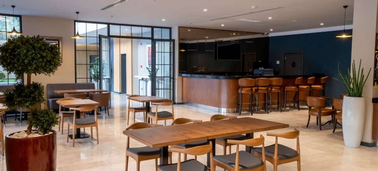 伊兹密尔阿利阿温德姆华美达酒店(Ramada by Wyndham Izmir Aliaga)图片