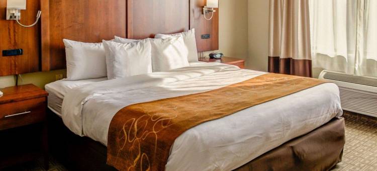 乔治敦舒适套房酒店(Comfort Suites Georgetown)图片