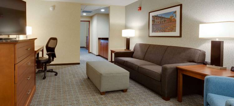 圣路易斯圣查尔斯特鲁里广场酒店(Drury Plaza Hotel St. Louis St. Charles)图片