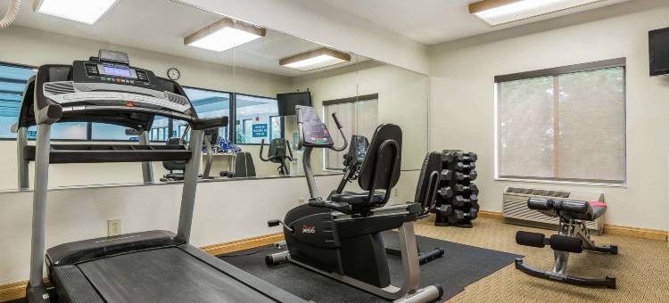 米沙瓦卡-南本德舒适套房酒店(Comfort Inn & Suites Mishawaka-South Bend)图片