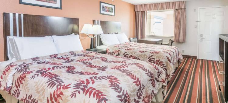 温妮温德姆戴斯套房酒店(Days Inn & Suites by Wyndham Winnie)图片