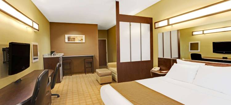 布赖森城麦客达温德姆酒店(Microtel Inn & Suites by Wyndham Bryson City)图片