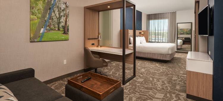 Marriott 温特帕克的SpringHill套房(SpringHill Suites Winter Park)图片