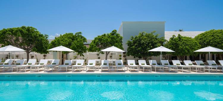 蓬塔卡纳美利亚海滩度假酒店(Melia Punta Cana Beach)图片