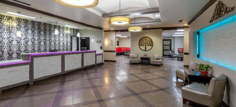 拉伯克浩枫温德姆酒店(Hawthorn Suites by Wyndham Lubbock)图片