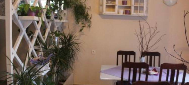 泽雅德波莱塞酒店(Zajazd Podlesie)图片