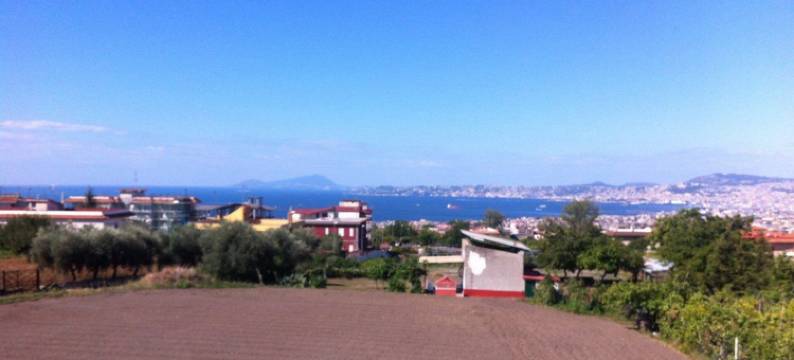 拉皮洛民宿(B&B Il Lapillo)图片