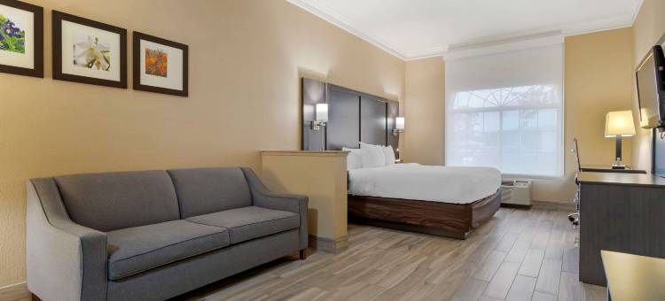金伍德休斯顿北部舒适套房酒店(Comfort Suites Kingwood Houston North)图片