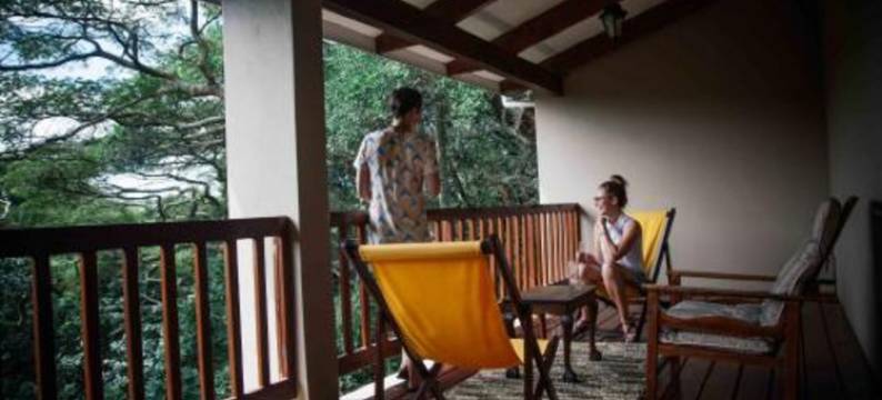 蜜森小屋旅馆(Honeywood Forest Lodge)图片