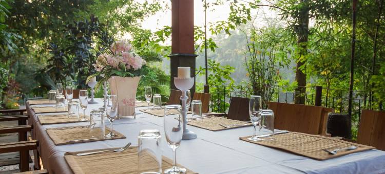 特里塔拉度假村(Tree Tara Resort)图片