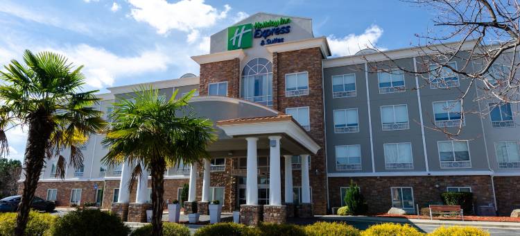 智选假日套房酒店亚特兰大ARPT西 - 营河(Holiday Inn Express & Suites Atlanta Arpt West - Camp Creek)图片