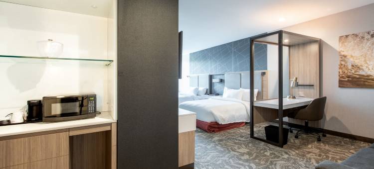 SpringHill Suites Chester图片